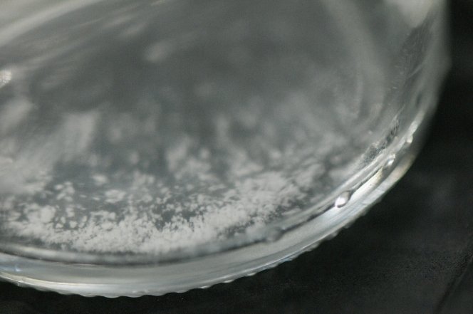 Fotografía de partículas en Placa de Petri 