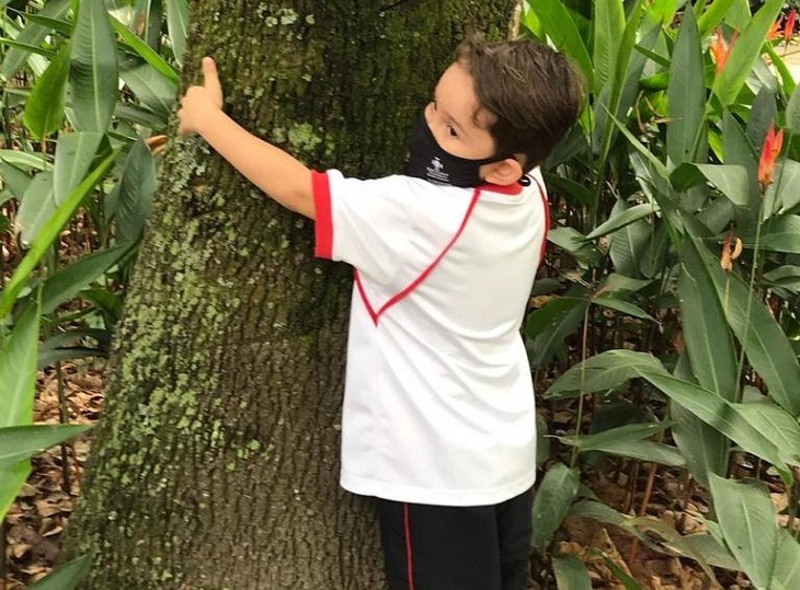 Niño abrazando árbol