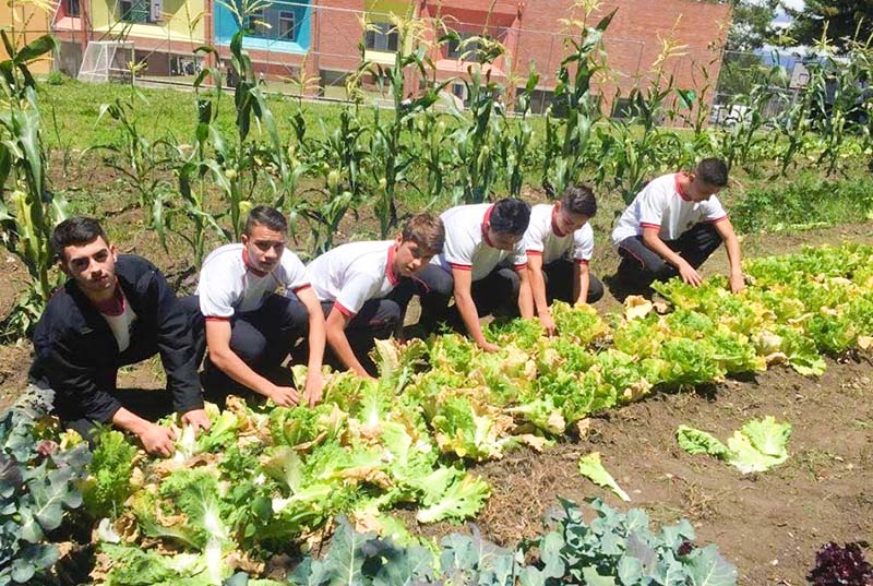 Estudiantes cosechando en la Ecohuerta del Colegio de la UPB Sección Marinilla