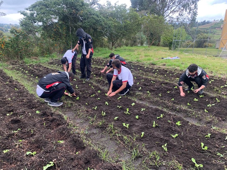 estudiantes de la UPB en la huerta del Colegio