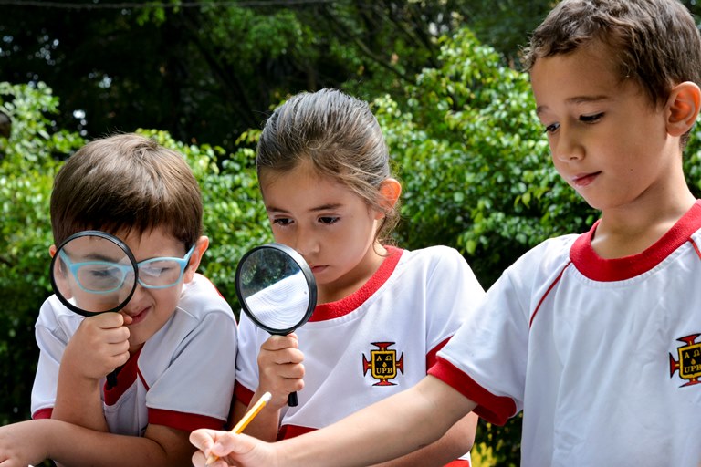 Estudiantes de preescolar investigan sobre las mariposas