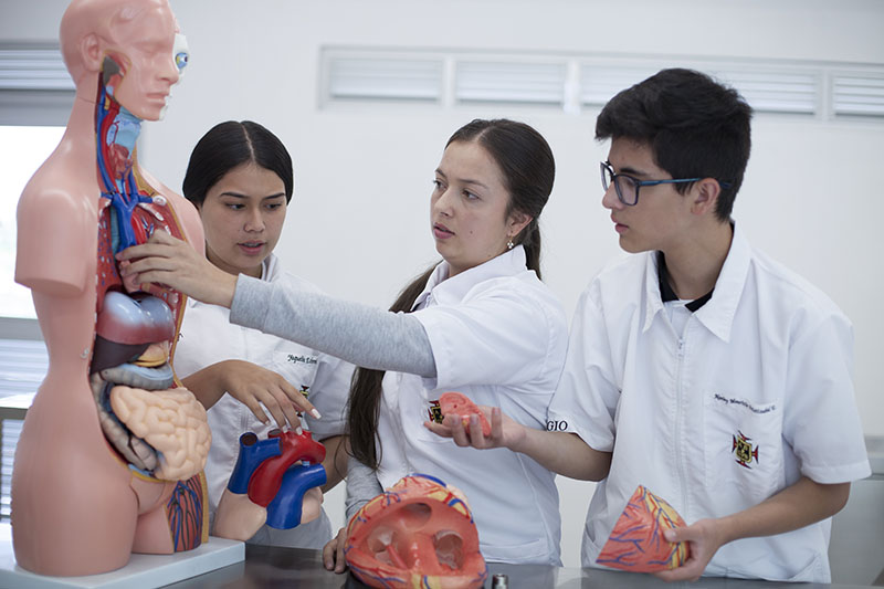 Lina Marcela Ceballos López , Docente de ciencias naturales