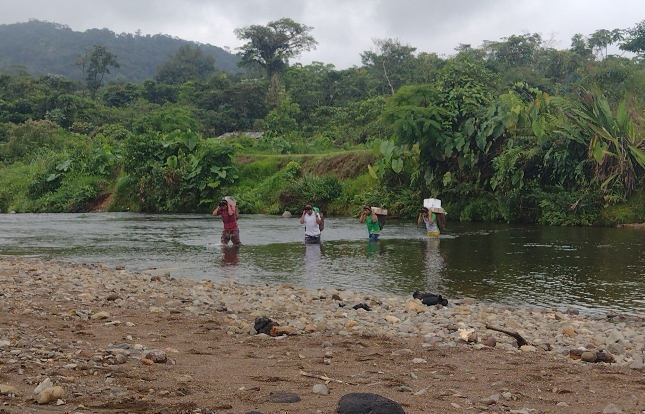 malaria tipo d 
