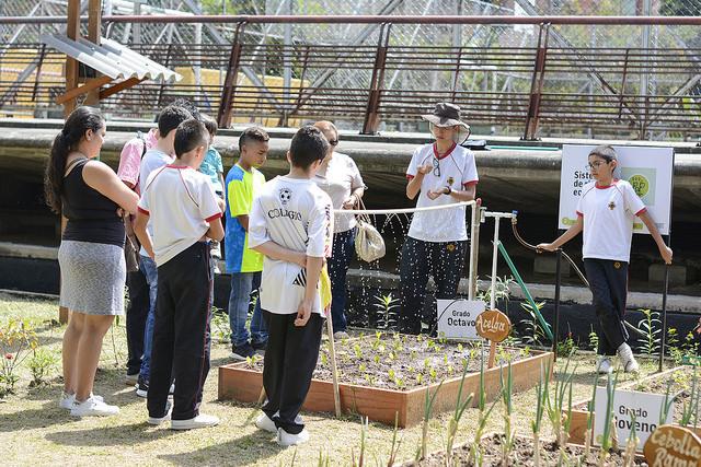 Sistema de riego autónomo creado por el estudiante Juan José Melguizo de 11