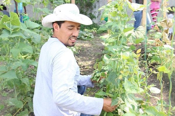 Docente investigador del proyecto