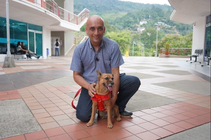 PERRITOS