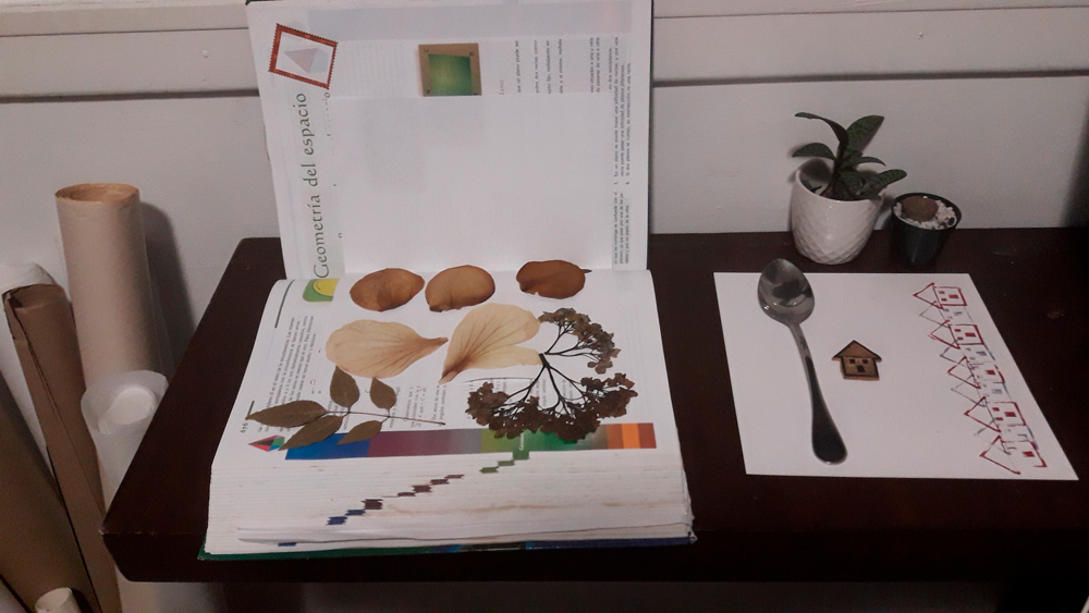 flores prensadas en libro