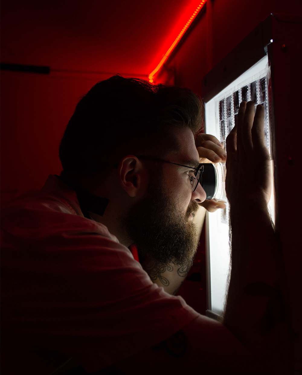 revisión de negativos de fotografía