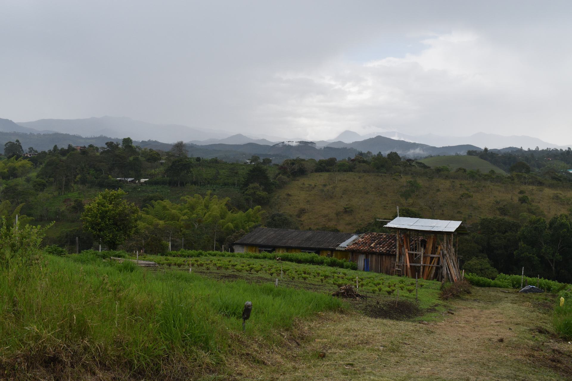 La Expedición Seda