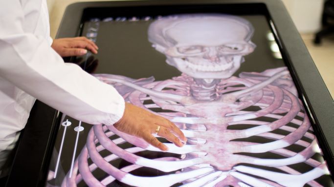 Plataforma informática que permite visualizar en tiempo real el cuerpo humano completo  
