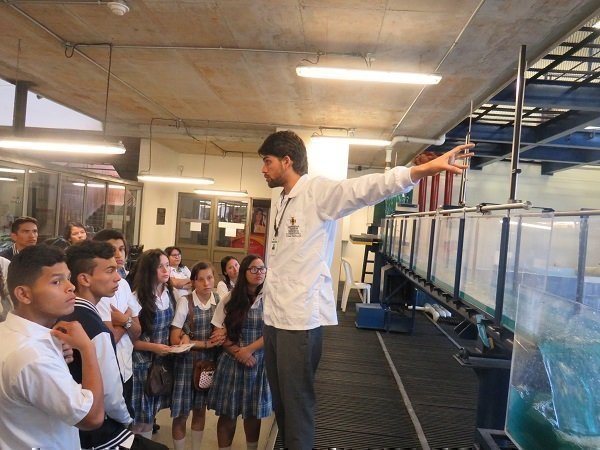 Actividades realizadas en el Colegio San Francisco