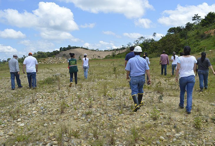 investigacion y ciencia