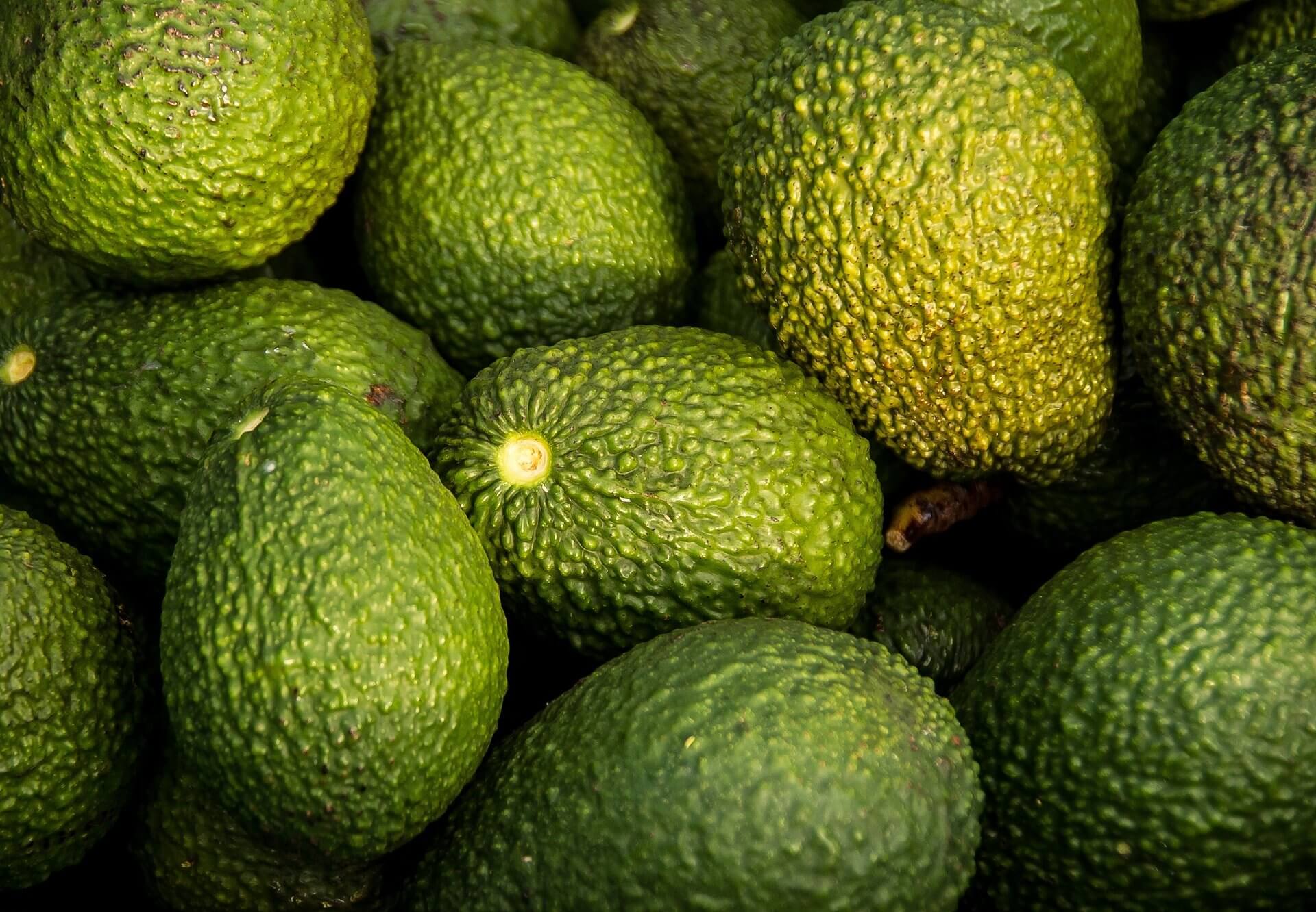 Aguacate hass colombiano llega al país oriental 