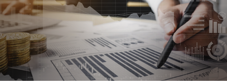 Actualización en Análisis del entorno económico para la toma de decisiones