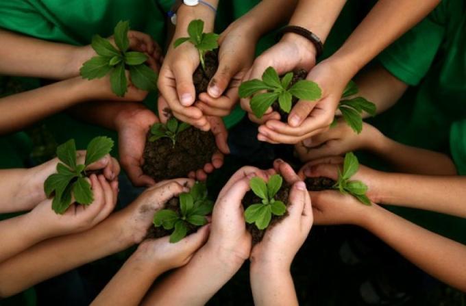 Manos con plantas