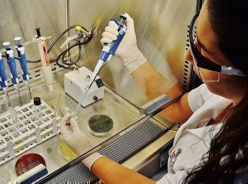Mujer investigando muestras en un laboratorio 