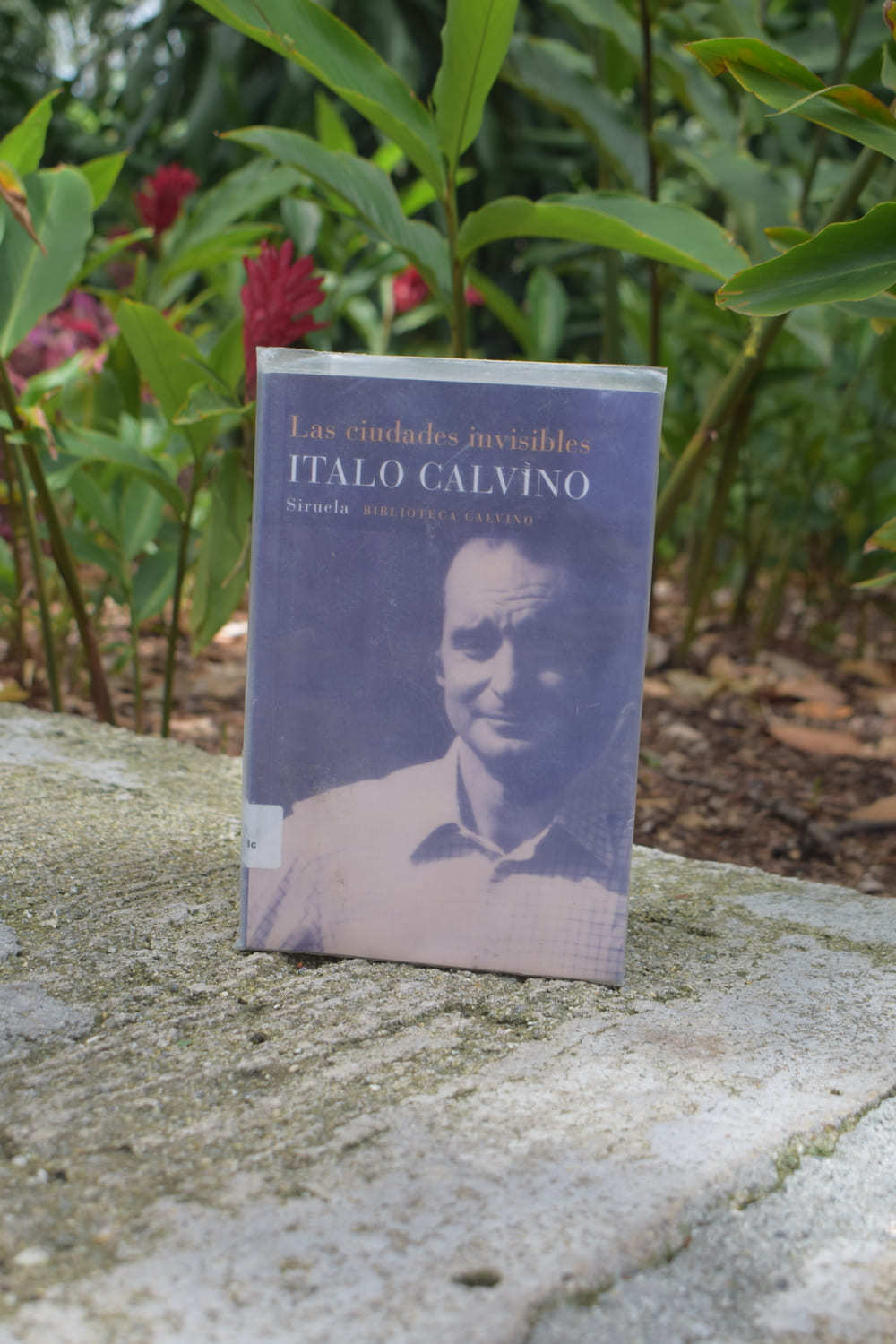 libro