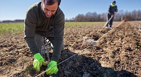 Cambio climático y gestión de data alimentaria