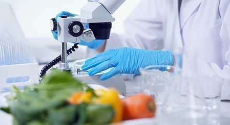 Ciencia y tecnología de los alimentos