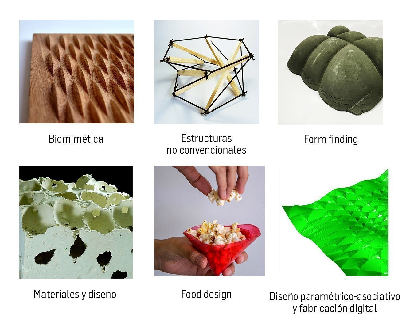 Línea de Investigación de Morfología Experimental -LIME-