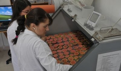 investigadores con equipo para procesar la guayaba