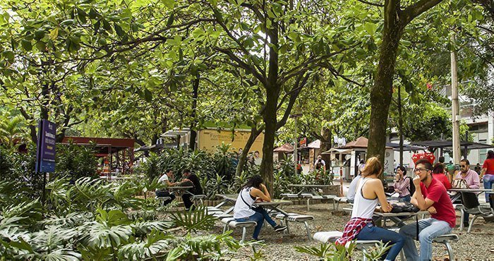 estudiantes sentados en unas mesas en las zonas verdes del campus