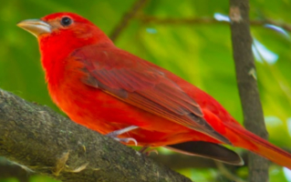 Reporte de Sostenibilidad 2025