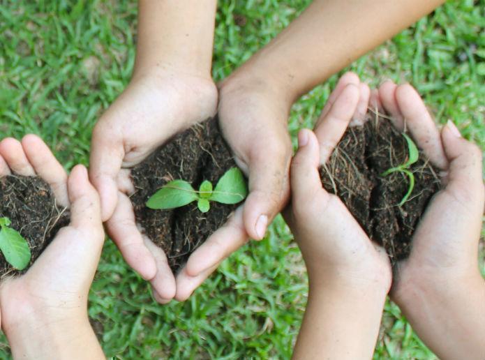 Compost orgánico