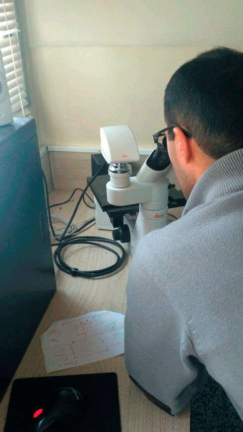 pasantía 5