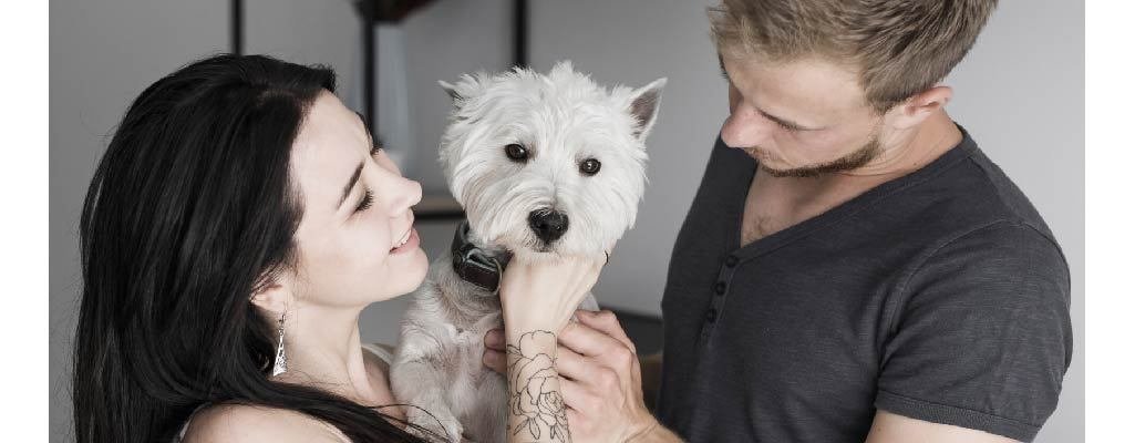 Curso Entrelazados: Vínculos entre Humanos, Perros y Gatos