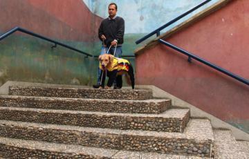 Persona en situación de discapacidad visual - con Perro guía