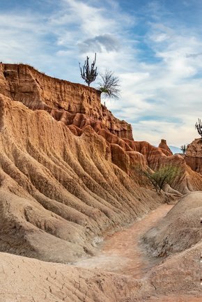 Desierto de las áreas protegidas colombianas