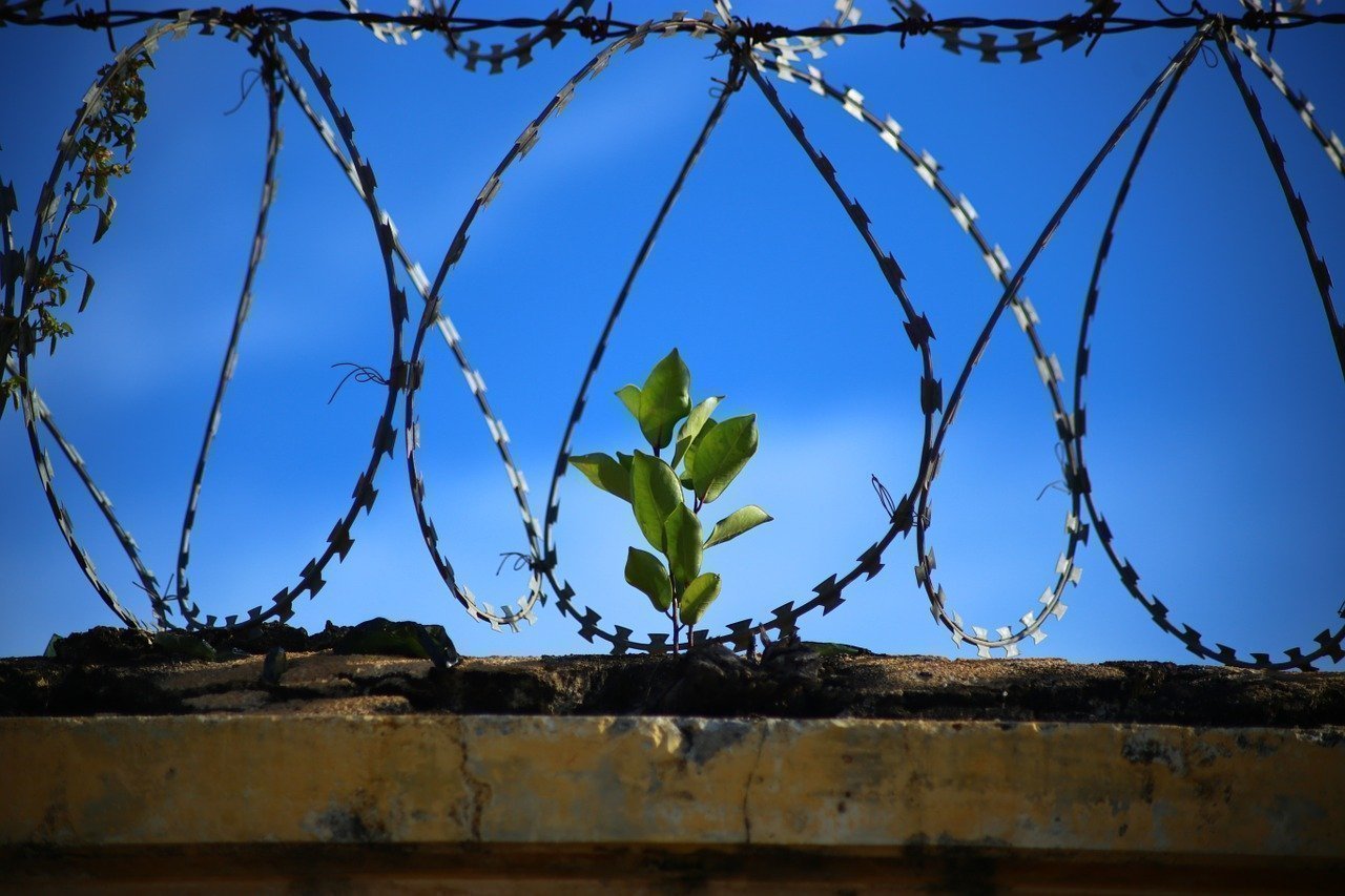 Manos contra una reja, representación simbólica de falta de libertad.  