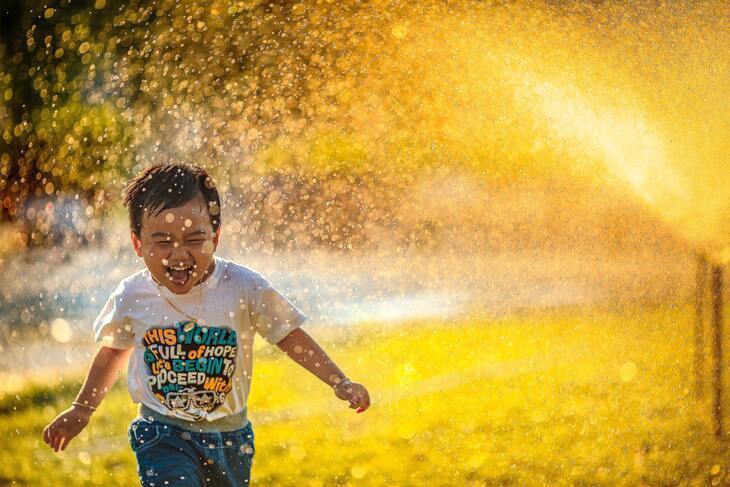 qué es la felicidad