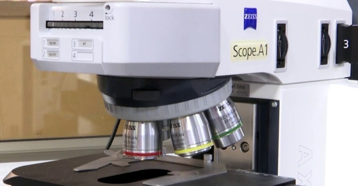 Microscopio metalográfico