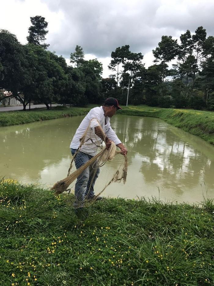 Fortalecimiento Piscícola en Santander