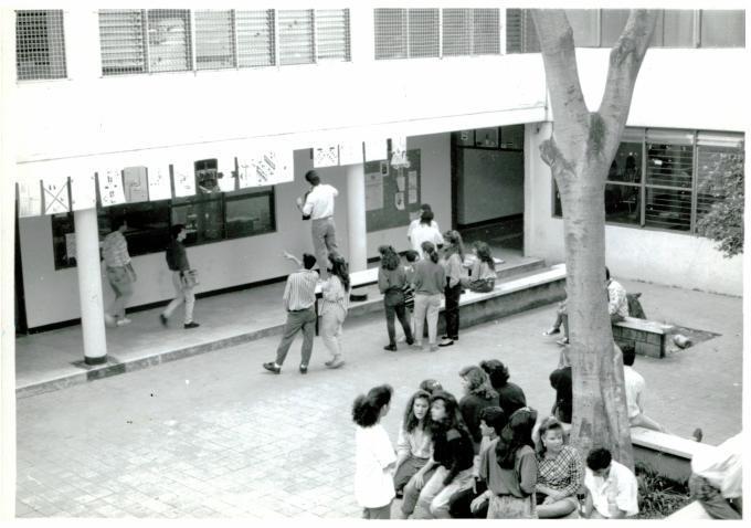 Patio del bloque 10 con el tradicional algarrobo.