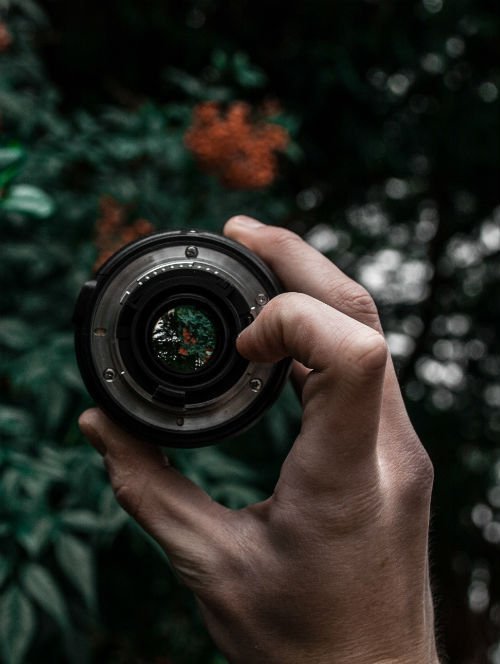 lente de fotografía de fondo se ven unos arbustos