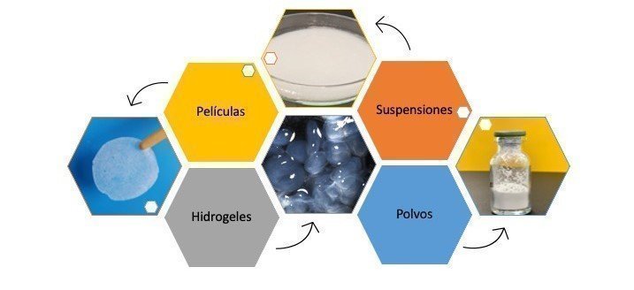 Plataformas de encapsulación de nanocelulosa bacteriana