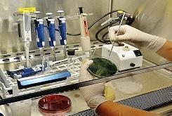 Grupos de Investigación Escuela de Ciencias de la Salud Medellín