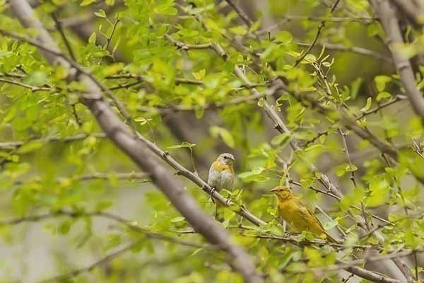 concurso fotografia biodiversidad