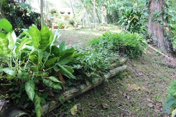 Zonas de Protección Ambiental de la UPB Seccional Bucaramanga