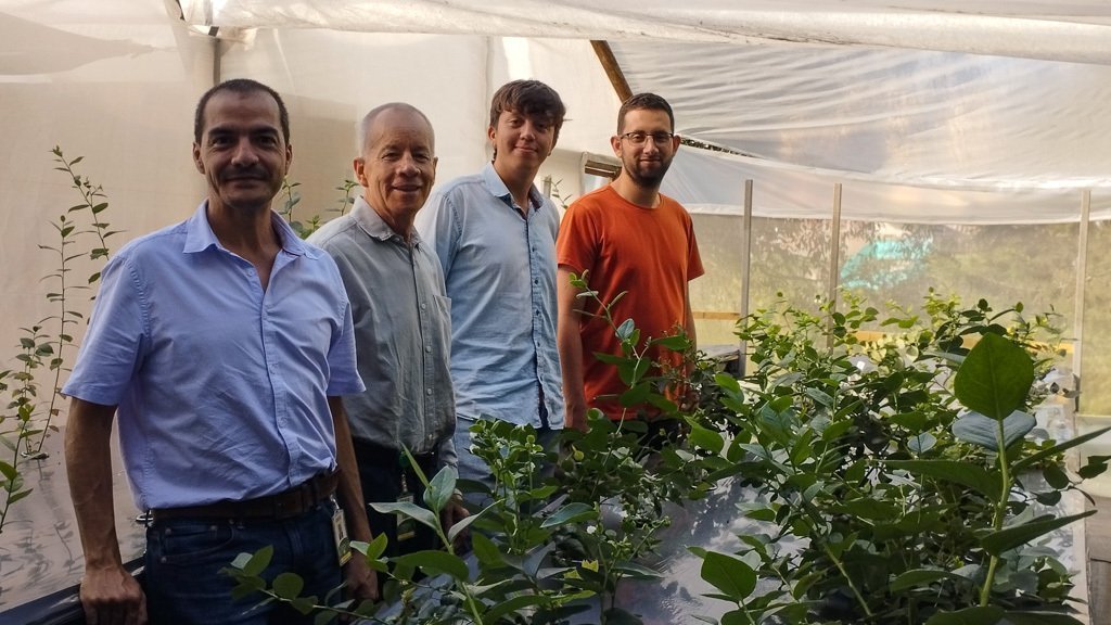 Investigadores de la Universidad Católica de Oriente