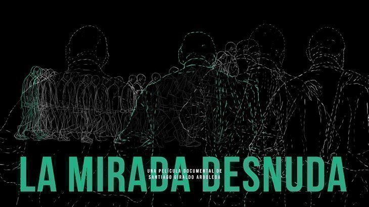 La mirada desnuda