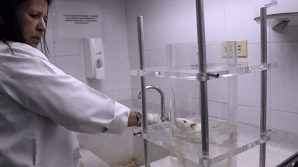 Salas de Experimentación con Animales