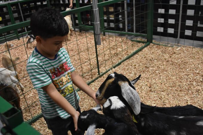 Expofinca 2019, relatos del campo