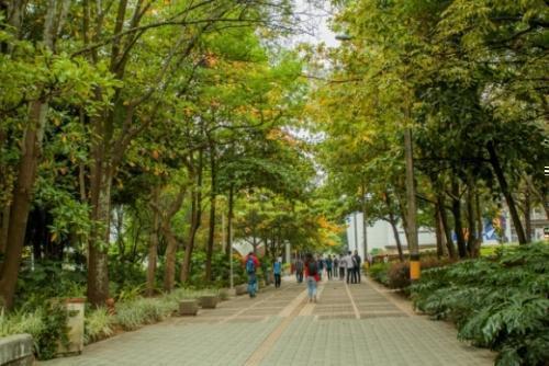 Tunel verde del Campus Laureles UPB Medellín