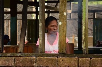 Conoce más acerca de Etnoeducación, el pregrado que forma a docentes y líderes para la transformación social en regiones de Colombia