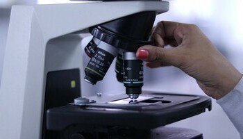 Cortesía: Corporación para Investigaciones Biológicas
