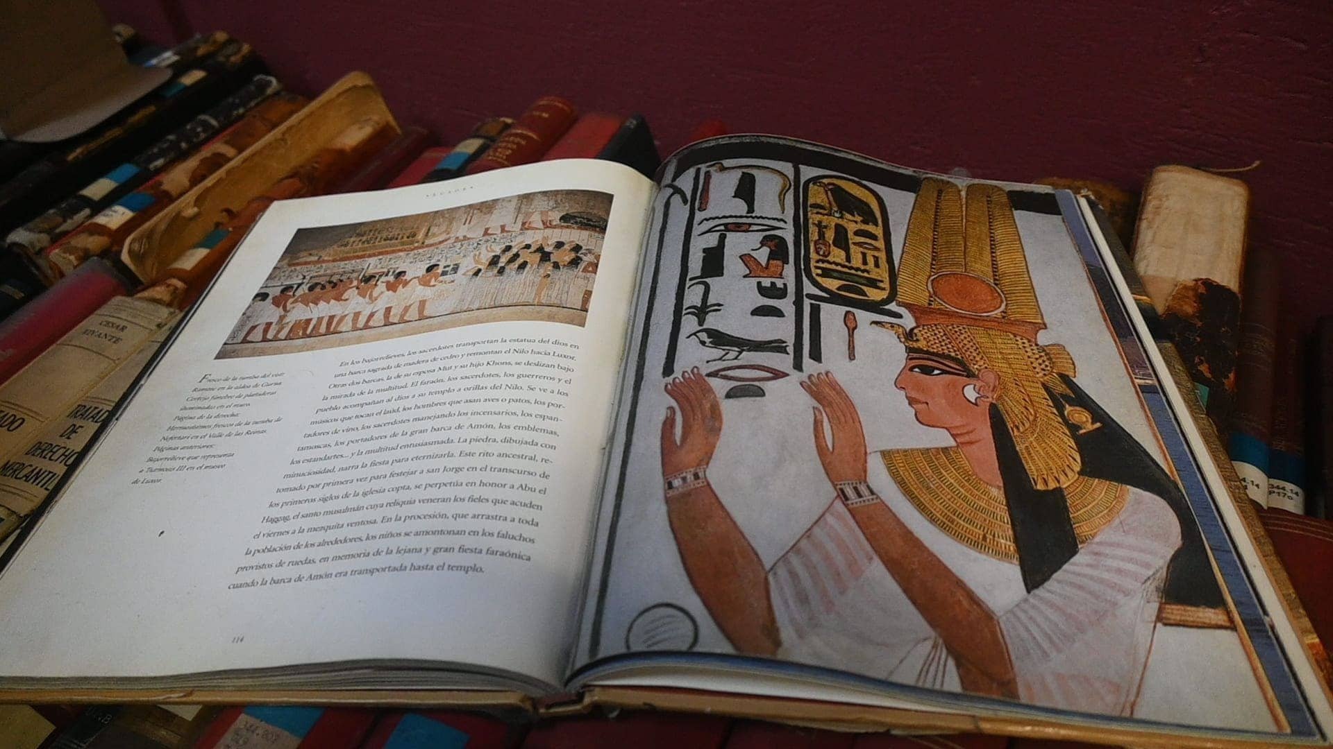 La UPB ofrece cursos sobre la historia de Egipto | UPB